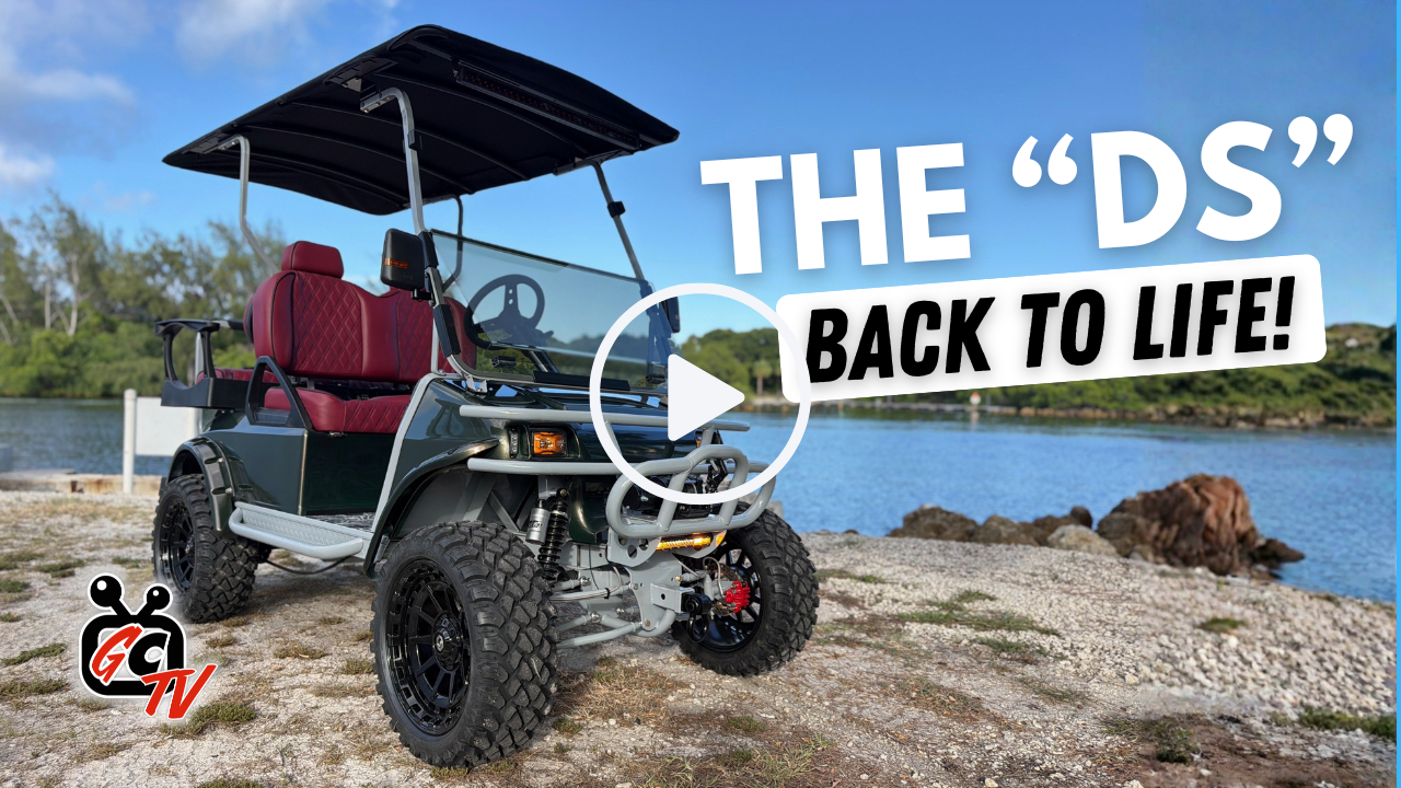 cart life tv club car DS